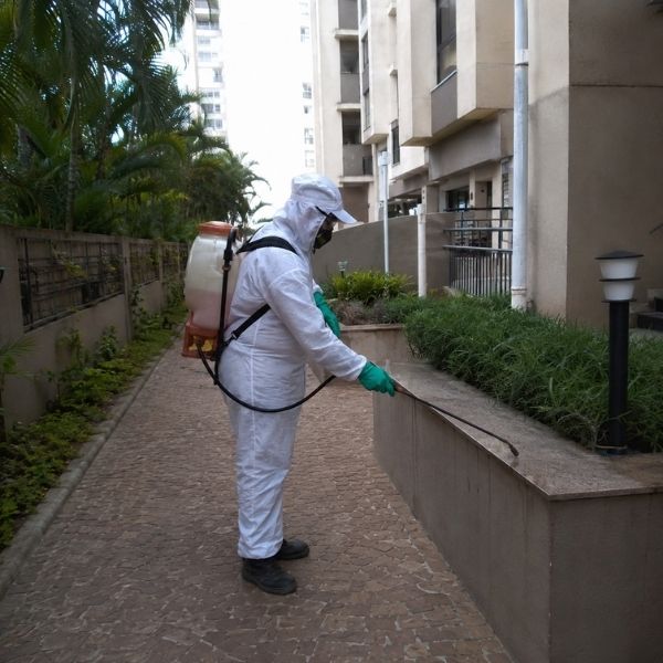 Dedetização industrial