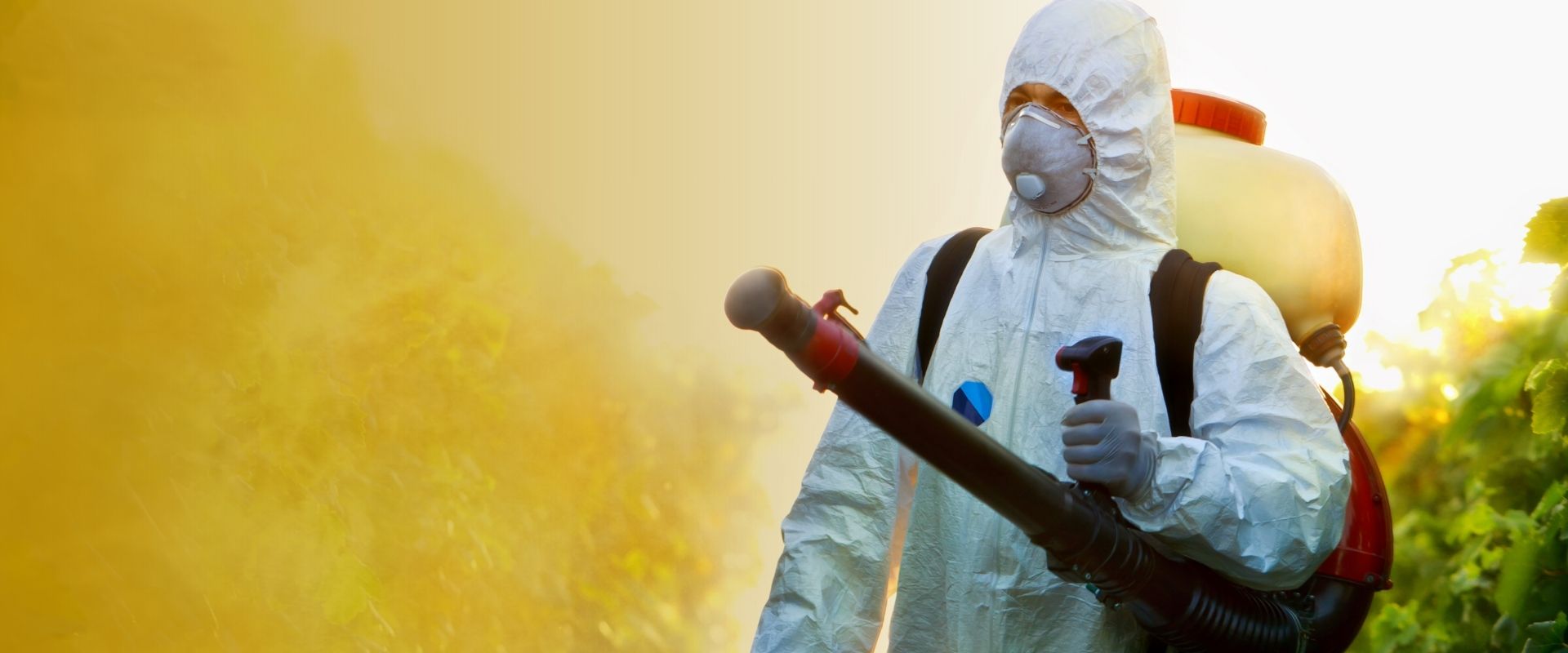 Sanitização e dedetização profissional para residências e empresas